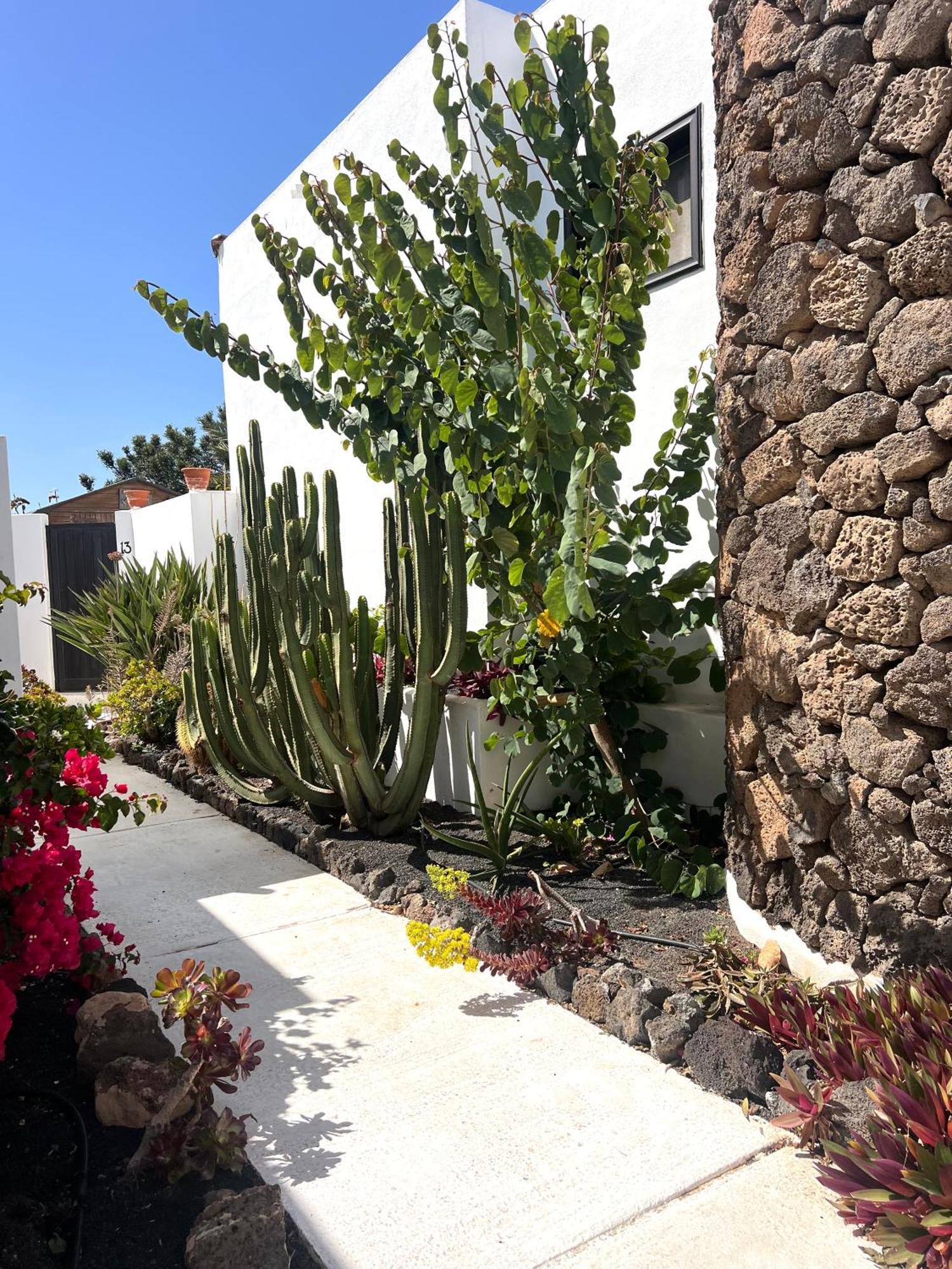 Vila Oasis En Lanzarote Costa Teguise Exteriér fotografie