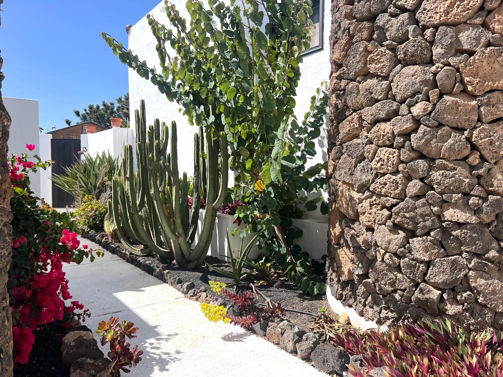 Vila Oasis En Lanzarote Costa Teguise Exteriér fotografie