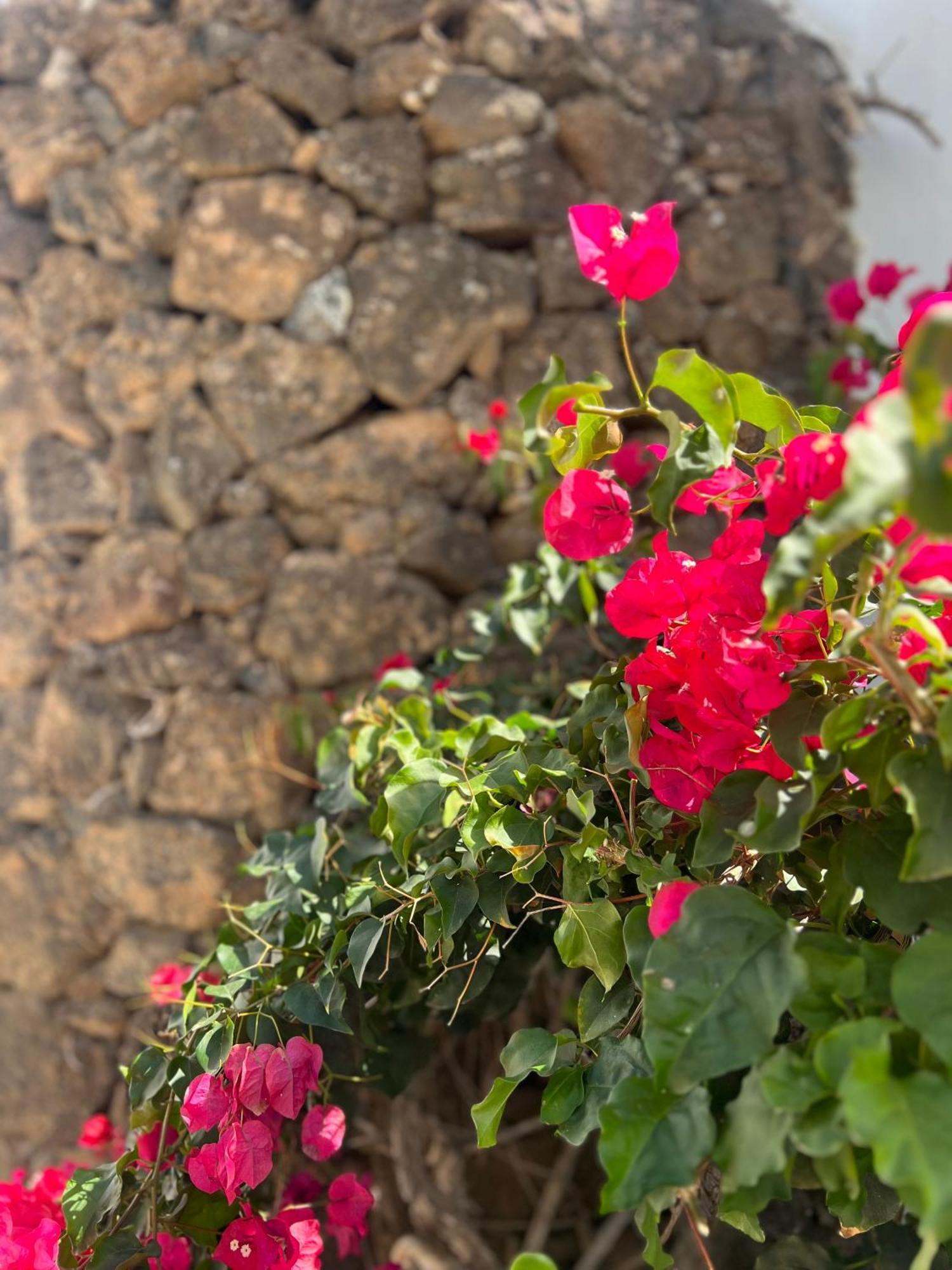 Vila Oasis En Lanzarote Costa Teguise Exteriér fotografie